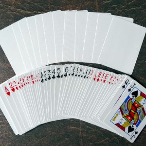 Blank Back Bicycle Cards (box color varies)