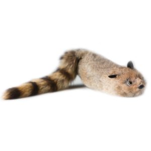 Super Robbie Raccoon - Spring animal