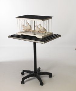 Matinelli`s Vanishing Dove Cage