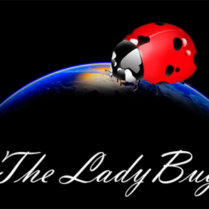 The Lady Bug by Hugo Valenzuela