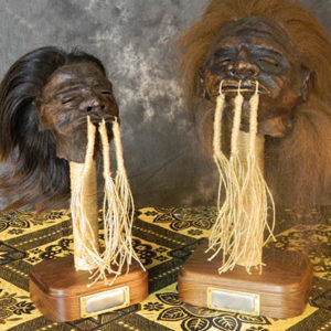 Shrunken Head par Metal Writing
