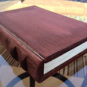 The Diary by Losander