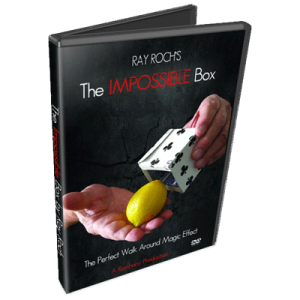 The Impossible Box par Ray Roch